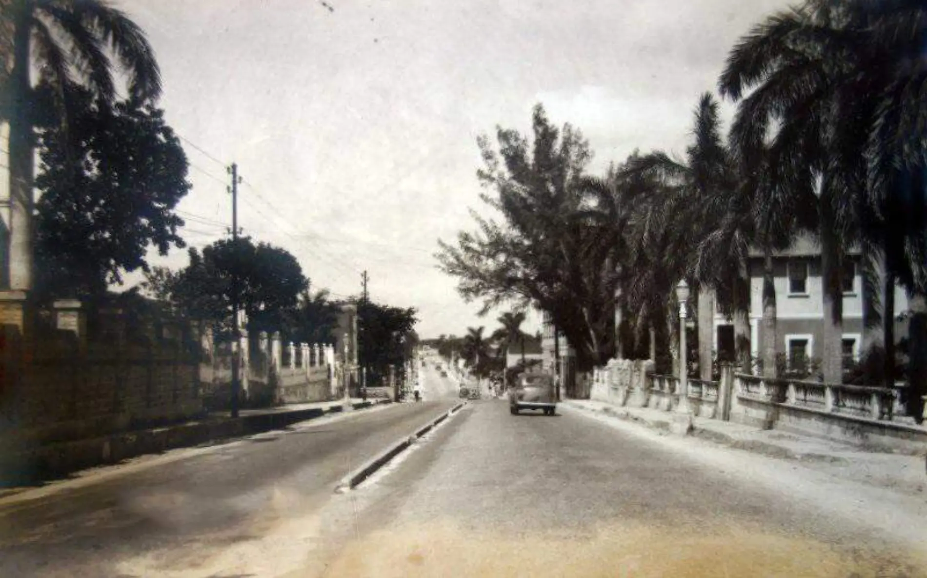 Aspecto de la Avenida Hidalgo a mitad del siglo pasado. Archivo Mediateca INAH